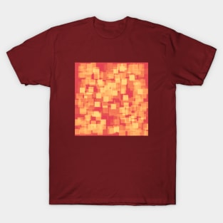 Squares T-Shirt